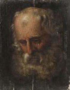 Head Study Of A Bearded Man
