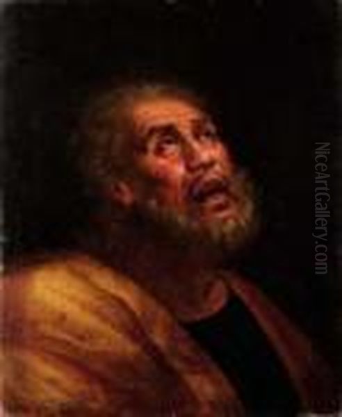 San Pietro Penitente (?) - view 1