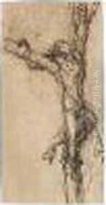 Study For The Crucifixion Of Polycrates