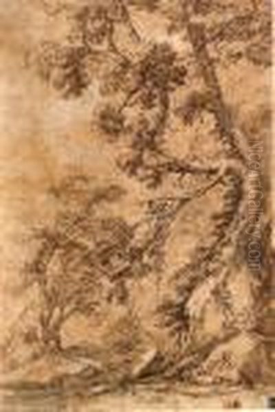 A Figure Lying By A Tree Below A Cliff - view 1