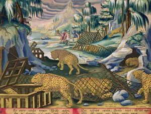 Capturing Leopards with the Help of Nets and Cages Baited with Mirrors, plate 15 from Venationes Ferarum, Avium, Piscium Of Hunting Wild Beasts, Birds, Fish engraved by Jan Collaert 1566-1628 published by Phillipus Gallaeus of Amsterdam