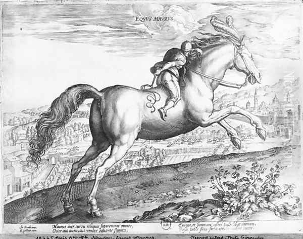 Equus Maurus - view 1