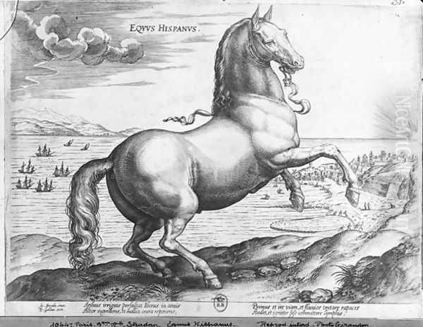Equus Hispanus - view 1