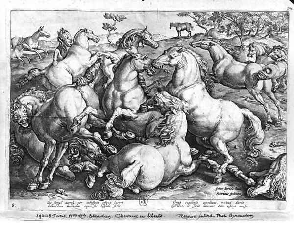Horses in the wild - view 1