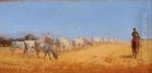 Campagna Con Bufale E Buttero A Cavallo by Federico Rossano