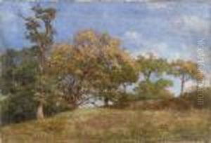 Paesaggio by Federico Rossano