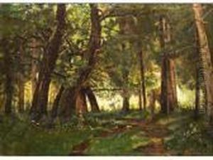 Waldinneres Mit Bachlauf by Federico Rossano