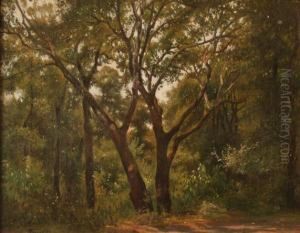 Paesaggio by Federico Rossano
