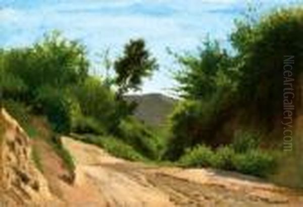 Le Chemin Montagneux - view 1
