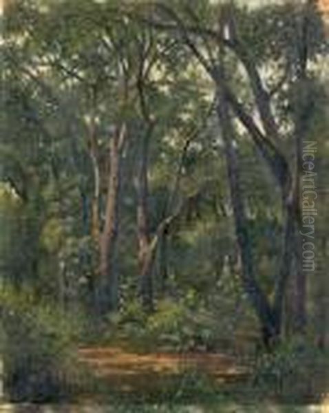 Le Sous-bois - view 1