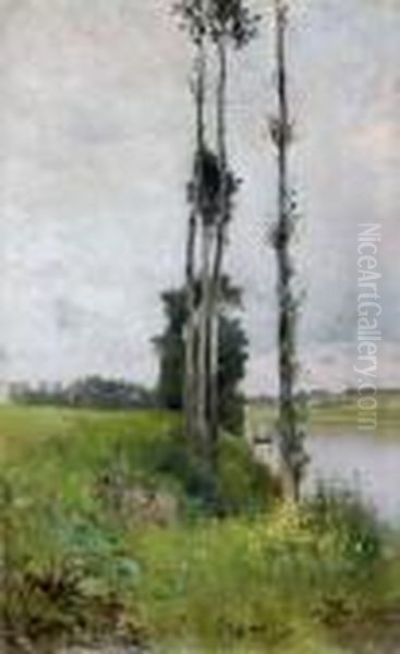 Les Arbres Au Bord De L'eau - view 1