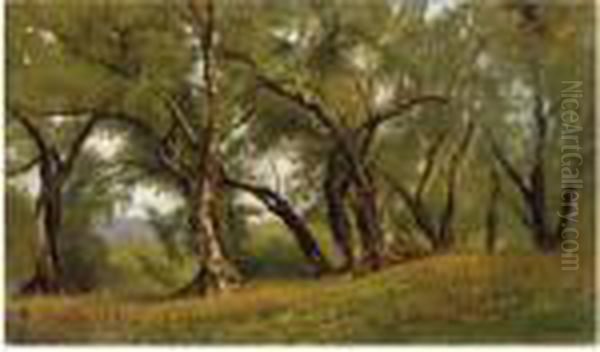 Bosco - view 1