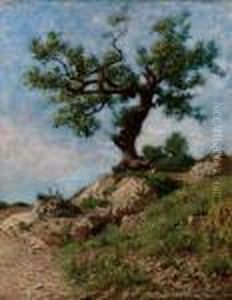 Albero by Federico Rossano