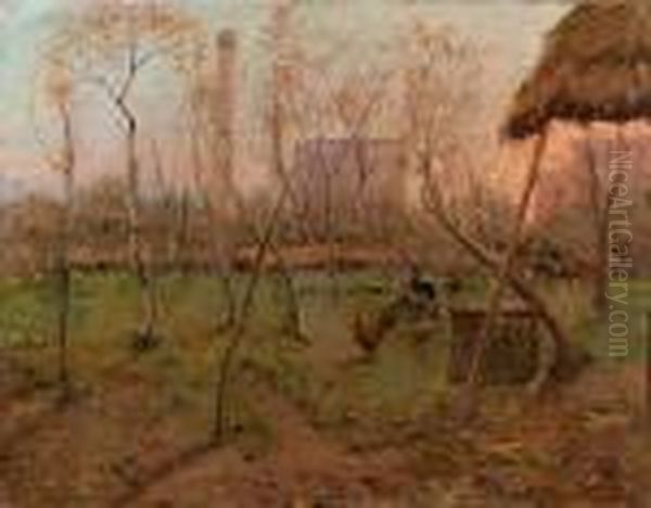 Galline Nell'aia - view 1