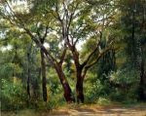 Paesaggio Alberato by Federico Rossano