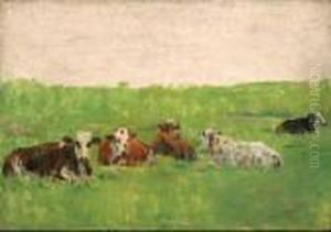 Mucche Al Pascolo Mucche Al Pascolo