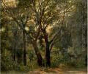 Sous-bois