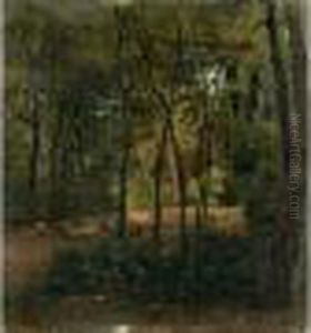 Paysage Au Sous-bois by Federico Rossano