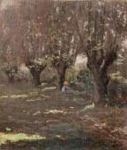 Paesaggio by Federico Rossano