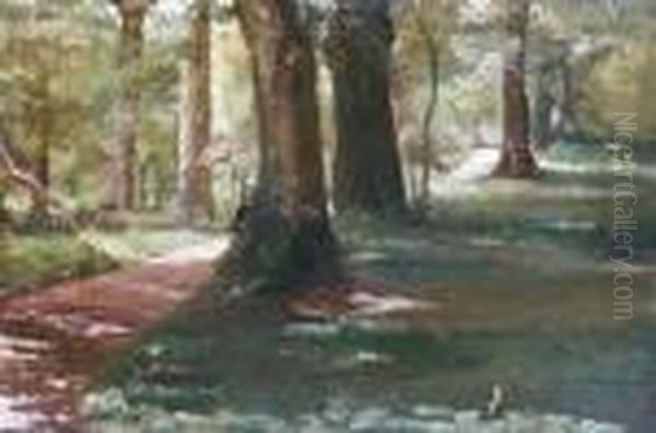Paesaggio - view 1
