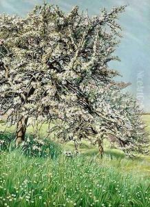 Pommiers Fleuris by Carlos Schwabe