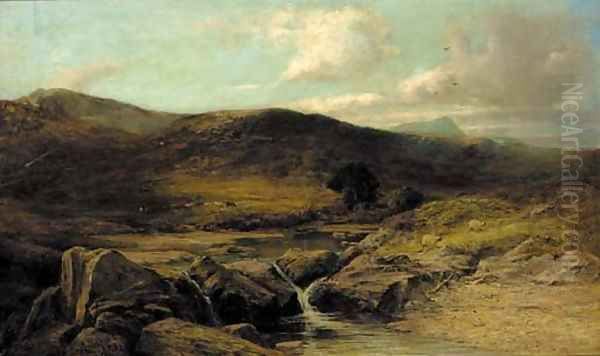 Cattle and sheep in a Highland landscape - view 1