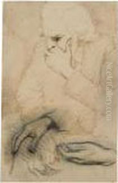 Study Of An Old Man - view 1