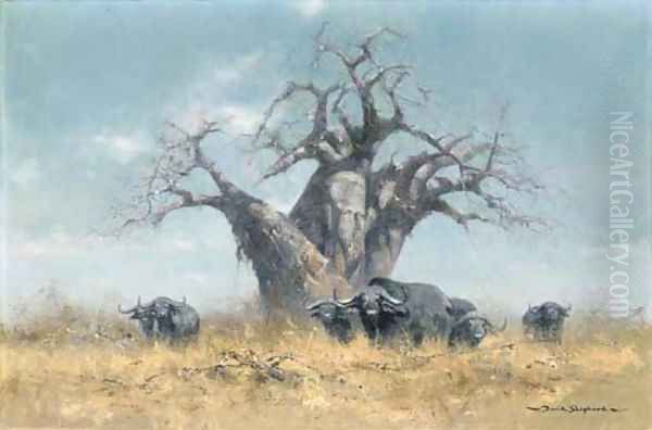 Buffalo and the Baobab tree - view 1