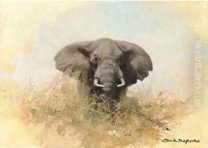 Elephant in the bush