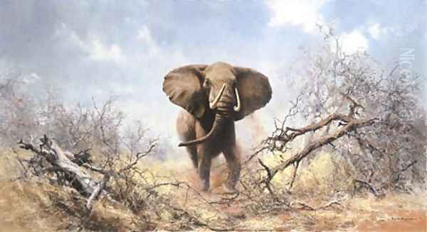 Bull Elephant - view 1