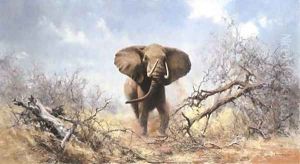 Bull Elephant by Thomas Hosmer Shepherd
