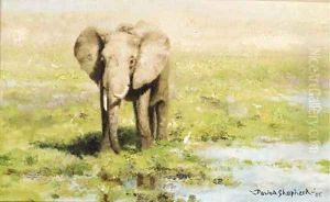An Elephant at a water hole by Thomas Hosmer Shepherd
