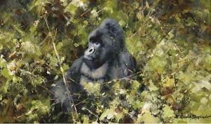Gorilla