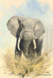 Charging elephant