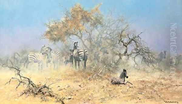Etosha National Park, Namibia - view 1