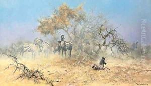 Etosha National Park, Namibia