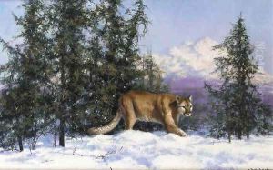 Mountain Lion by Thomas Hosmer Shepherd