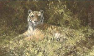 Tiger haven by Thomas Hosmer Shepherd