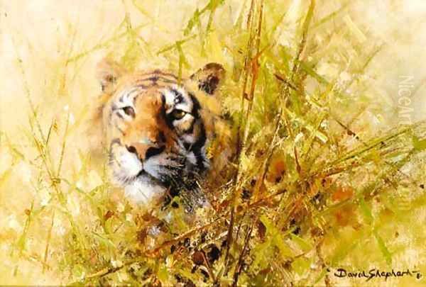 Tiger Study - view 1