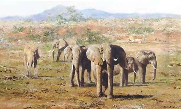 Tsavo Country - elephants - view 1