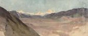 Study Of A Rugged Landscape