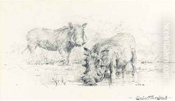 Warthogs - view 1