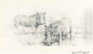 Warthogs by Thomas Hosmer Shepherd
