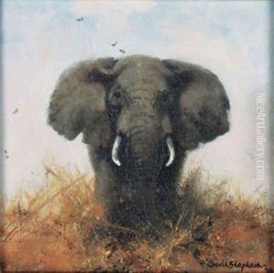 African Elephant