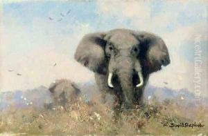 An elephant with birds by Thomas Hosmer Shepherd