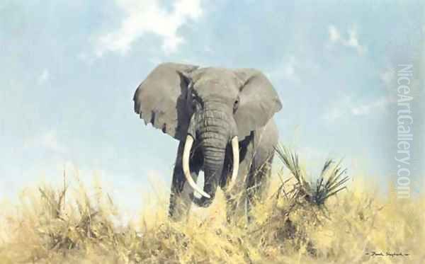 Contented Jumbo - view 1