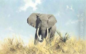 Contented Jumbo by Thomas Hosmer Shepherd