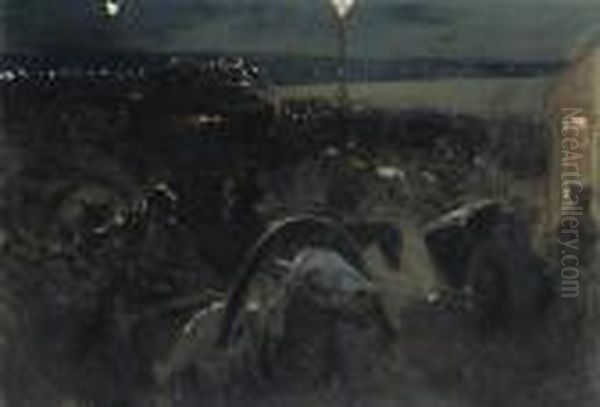 St Petersburg By Night - view 1