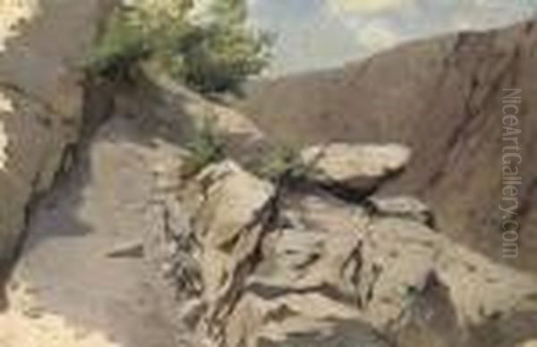 A Rocky Path - view 1