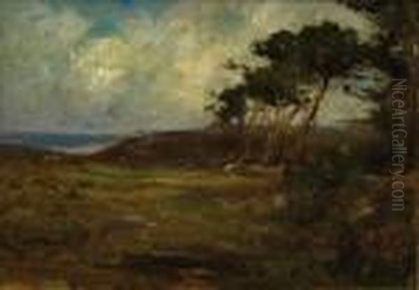 Les Pins Parasols - view 1